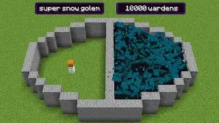 1 super snow golem vs 10000 wardens (who will win?)
