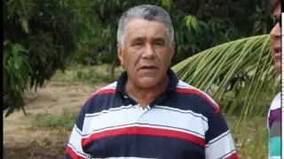 SAMBA DE OT&Aacute;VIO, EDVALDO E ADONIAS