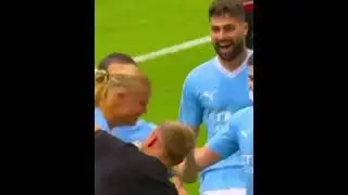Haaland Gets JUMPED by Fan after scoring 😭😳