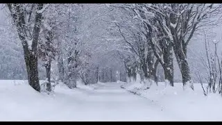 Silencio Blanco ❄️🌨️ | Sonido Continuo de Nevada para Relajarse y Dormir