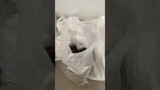 VID 20231205 161217