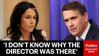 Reporter Asks Deputy AG: Are You Unhappy That Tulsi Gabbard Was At GA Election Center FBI Search?