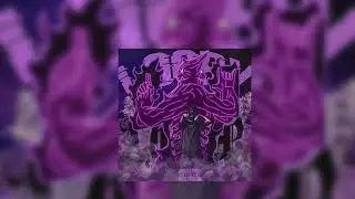 Loory-ACAB