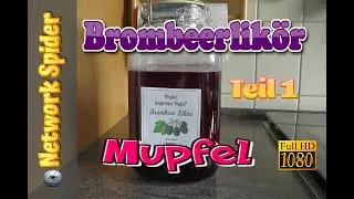 Der beste Brombeerlikör selbst gemacht 