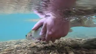 Backwoods Creek Fishing (Part 2)