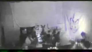 no blood to spare - walk the walls