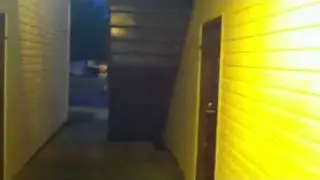 Newbridge Apt Shooting
