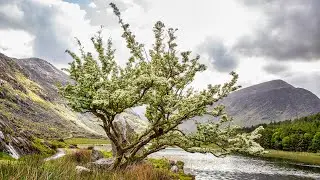 Gap of Dunloe and Black Valley part 2