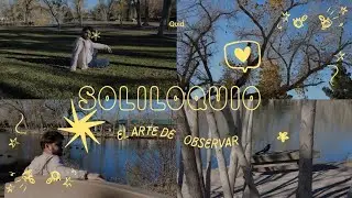 Soliloquio: El arte de observar, una oda a la soledad. 