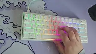 Tofu60 Redux Wooting 60HE+ Neo Lavender Switches Sound Test