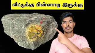 மரணப் பள்ளத்தாக்கு | Fact&rsquo;s About California Death Valley and Moving Stone | In Tamil | #shorts 2023