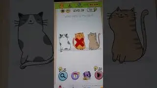 Which cat is on the right? level 29 Brain test game