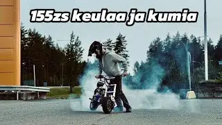 155zs monkey (Keulaa ja kumia)