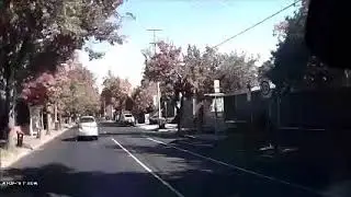 Autumn on Mont Albert Road, Melbourne
