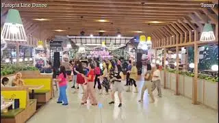 More Than I Can Say Line Dance