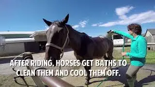 kate video2