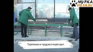 Мурка кромкообрезной станок двухпильный LT ЦОД-450 цена pilam.ru