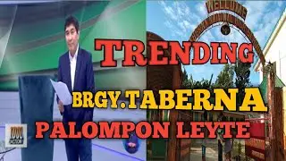 BARANGAY TABERNA PALOMPON LEYTE UPDATE