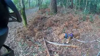 Sasha practicando Mantrailing