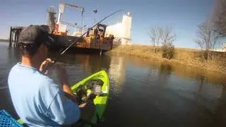 Port striper