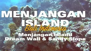 Diving Menjangan Island Bali Indonesia - Dream Wall & Sandy Slope