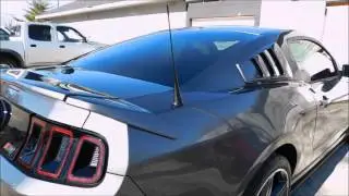 Ceramic Pro Gold Package: Roush Mustang