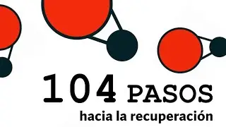 (1-7) 104 Pasos hacia la recuperaci&oacute;n del vector social