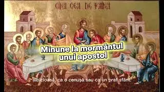 Stiai ca morm&acirc;ntul unui apostol izvoraste minune pana astăzi? #shorts 