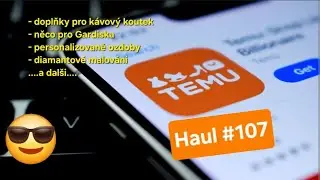 Temu haul #107