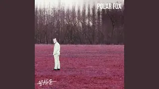 Polar Fox