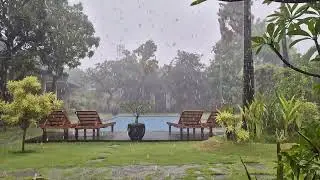 Real Rain ASMR in Bali monsoon season 평화로웠던 발리의 우기 빗속에서 찍은 영상