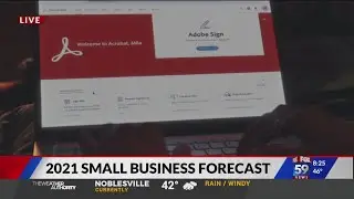 Small Business Forecast