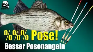 Russian Fishing 4 - Elk Lake - % Posenangeln, Stippe, Bolognese. Pose Start #rf4