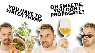 The Different Types Of Plant People *funny*