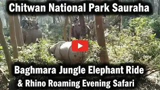 Chitwan National Park Sauraha | Baghmara Jungle Elephant Ride & Rhino Roaming Evening Safari