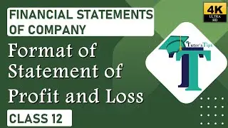 Format of Statement of Profit and Loss - Account Class 12 - Explained with Animation