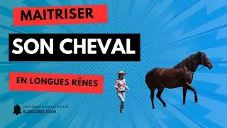 🎥 Commencer en longues rênes avec son cheval – Partie 1