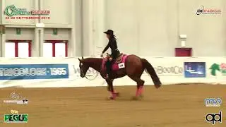Pre Futurity 2019 - NICOLE CERANTOLA & THE HICKONA score 66