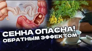 ЛИСТ СЕННЫ очищает кишечник! Но много критики Слабительному!