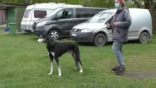 Coursing-Training in Hoope Pfingsten2021