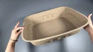 cat litter box