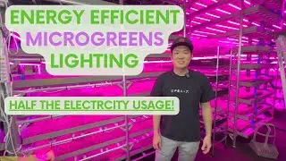 Cut Power Usage in HALF For Growing Microgreens! ⚡