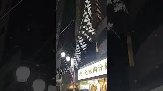 first snow in Tokyo 2026 Japan #japan #snow #winter #snowfall #雪