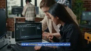 Alpha Testing in Software Development