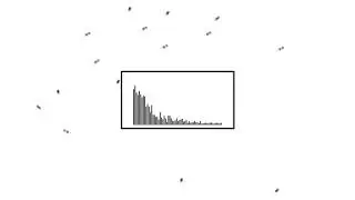 Audio Visualizer (SFML)