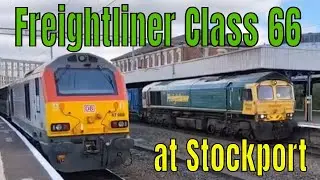 Freightliner Class 66 at Stockport @kartwheelkarl #britishrailways #trains #class66 