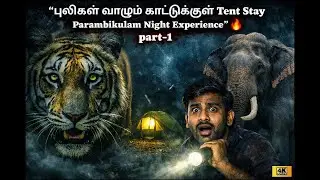 PARAMBIKULAM  TIGER RESERVE  | Thrilling Night Stay Experience Inside Forest |  Tented Roost Resort