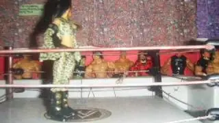 AwFw 45:Melina vs jillian