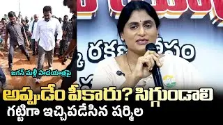 పాదయాత్ర చేస్తారా? షర్మిల సెటైర్లు | Sharmila Satirical Comments On Ys Jagan Mohan Reddy Padayatra