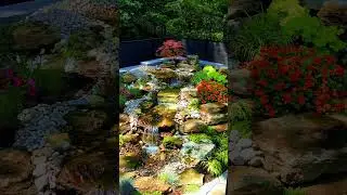 Serene Backyard Oasis: ASMR Meditation